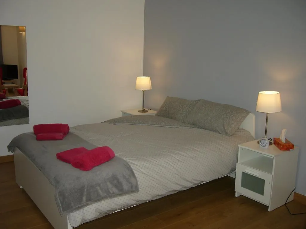 Les Trois Lions Apartment Foix